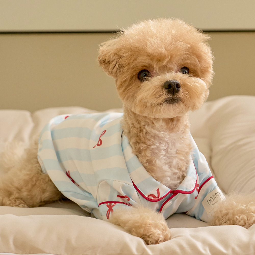 https://image.oliveyoung.co.kr/cfimages/cf-goods/uploads/images/thumbnails/10/0000/0025/B00000025903504ko.jpg?l=ko