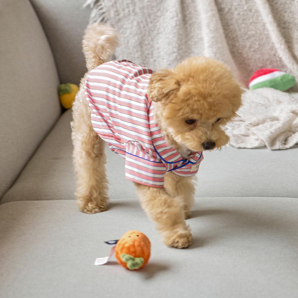https://image.oliveyoung.co.kr/cfimages/cf-goods/uploads/images/thumbnails/10/0000/0025/B00000025903605ko.jpg?l=ko