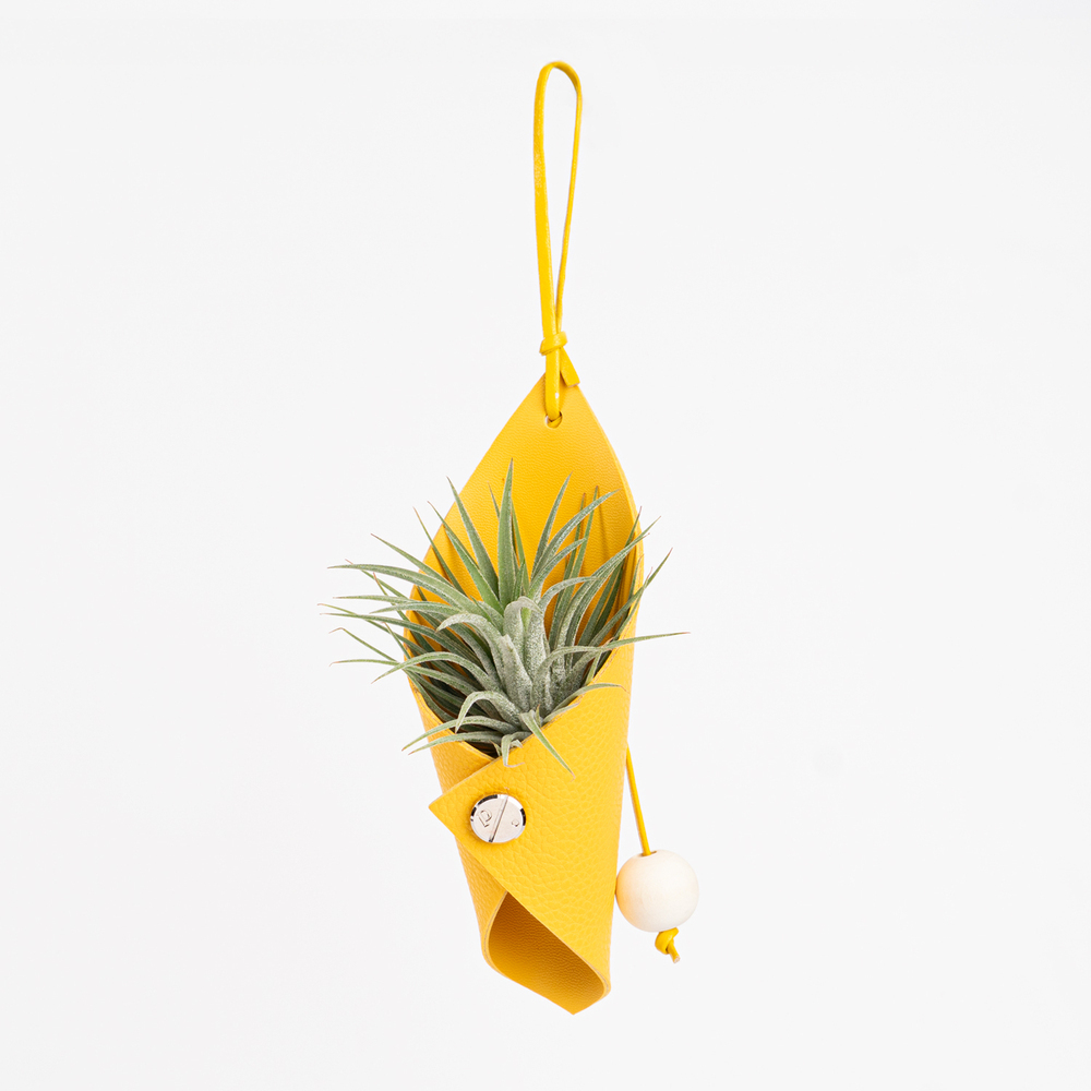 https://image.oliveyoung.co.kr/cfimages/cf-goods/uploads/images/thumbnails/10/0000/0025/B00000025956601ko.jpg?l=ko