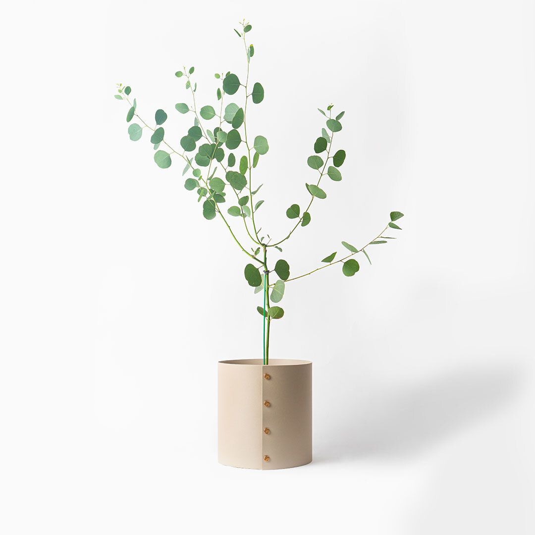 https://image.oliveyoung.co.kr/cfimages/cf-goods/uploads/images/thumbnails/10/0000/0025/B00000025962003ko.jpg?l=ko