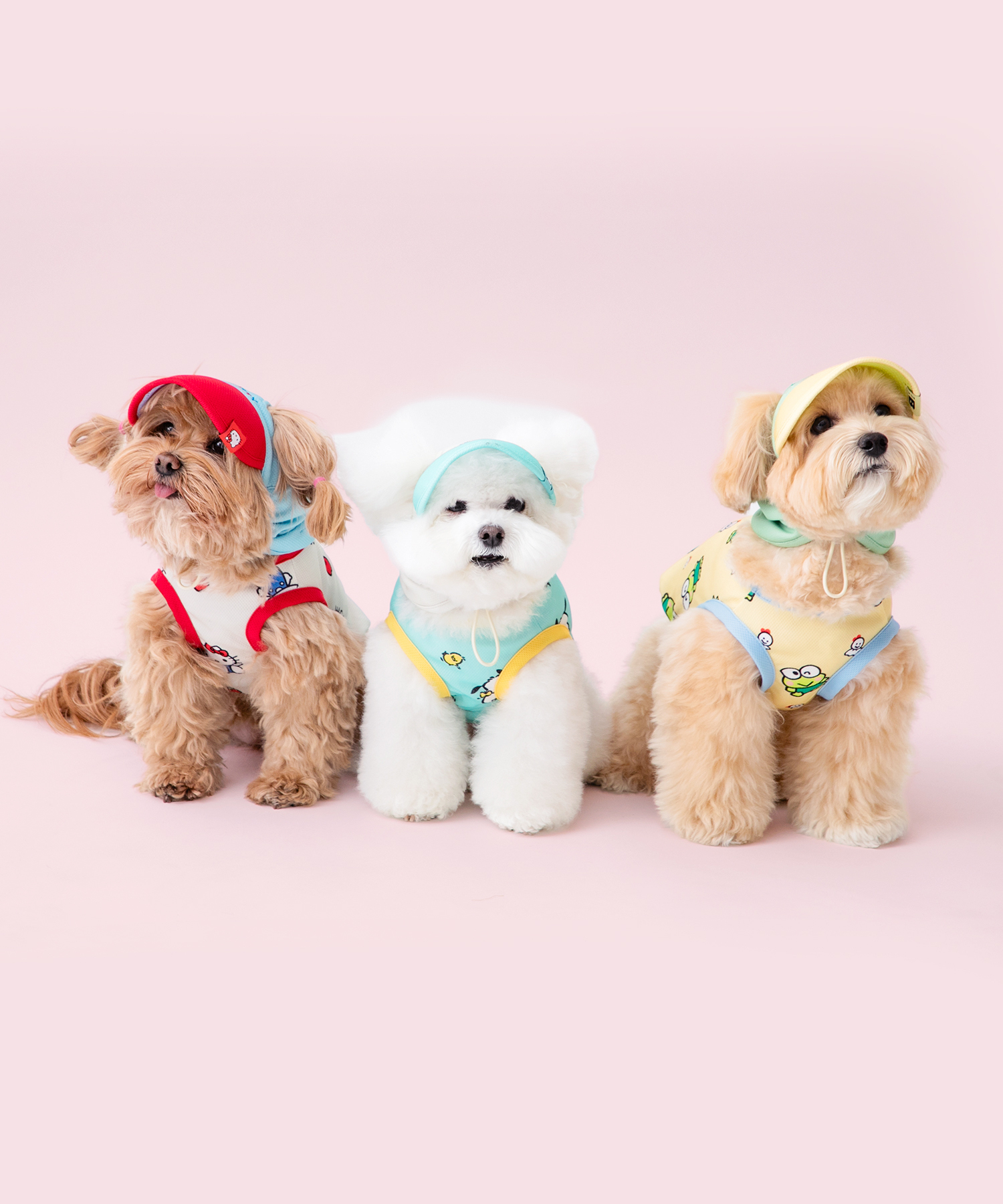 https://image.oliveyoung.co.kr/cfimages/cf-goods/uploads/images/thumbnails/10/0000/0025/B00000025987102ko.jpg?l=ko
