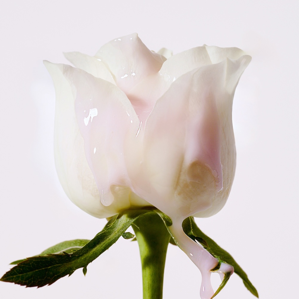 https://image.oliveyoung.co.kr/cfimages/cf-goods/uploads/images/thumbnails/10/0000/0026/A00000026807006ko.jpg?l=ko