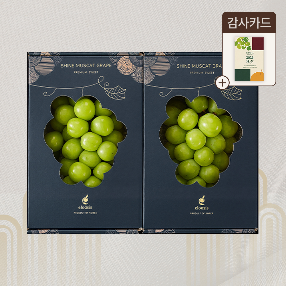 [엘로아시스][추석선물] 수출용 1등급 고당도 샤인머스캣 2입 선물세트 1.4kg