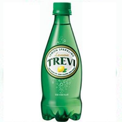 트레비 레몬 500페트