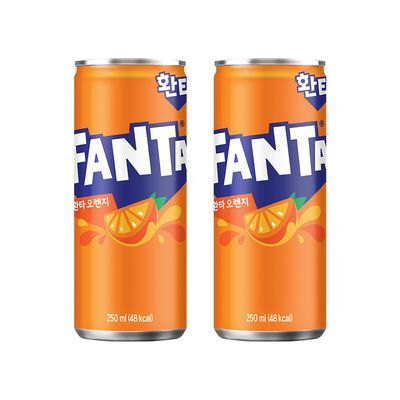 환타 오렌지 250ml 30캔