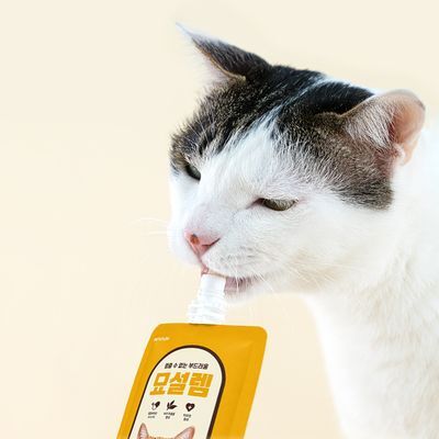 [페슬러] New 대용량 고양이 습식간식 묘설렘 파우치 (90g) - 4종택1