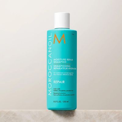 [손상모 단백질 케어]모로칸오일 모이스처 리페어 샴푸 250ml