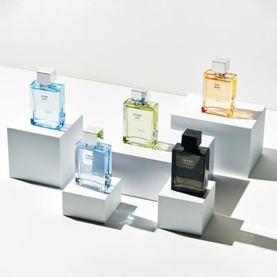 다슈 프리미엄 퍼퓸 50ml 5종 택1 (아쿠아 다이브 외)