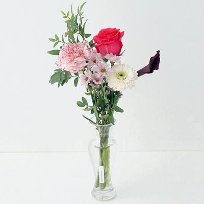 스노우폭스 럭키 플라워 심플 (택배/퀵)