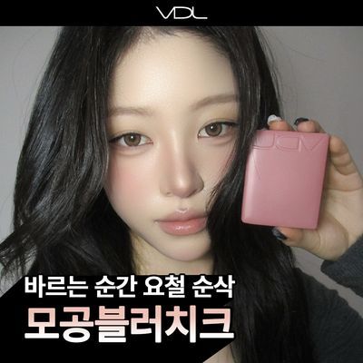 [인생템/모공블러치크] VDL 치크스테인 블러셔/블러셔 듀오 6g