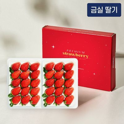 수플린 금보다 귀한 유명산지 프리미엄 금실 딸기 800g 이상 (특품/24~30입)