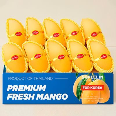수플린 항공직송 프리미엄 태국골드망고 4kg (8~14입/로얄과)