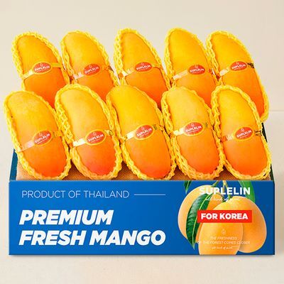 수플린 고당도 마하차녹 무지개 망고 4kg (8~15입)