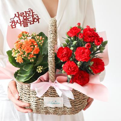 스노우폭스 카네이션 화분 트윈 바스켓 (택배)