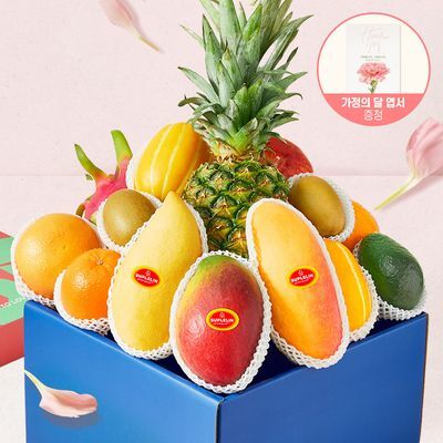 [수플린] 자르뎅 2호, 따뜻한 마음 과일선물세트 (11종 / 총 5.4kg이상)