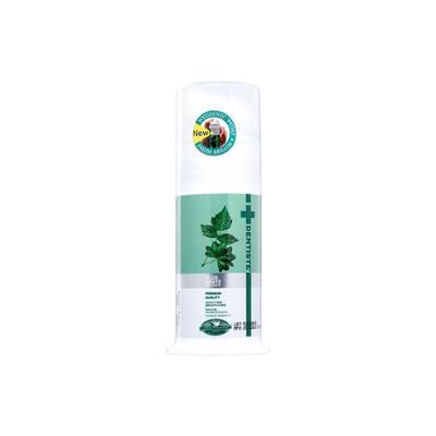 덴티스테 뉴 플러스화이트 펌프 치약 60g/120g 2종 택 1