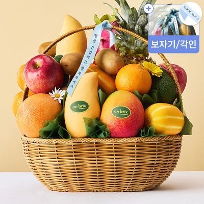 [온브릭스] 고급 과일바구니, 카멜2호 10종 6.6kg이상(파인애플,애플망고)