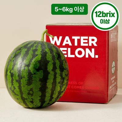수플린 시원달콤 고당도 하우스 수박 5~6kg (12brix이상)