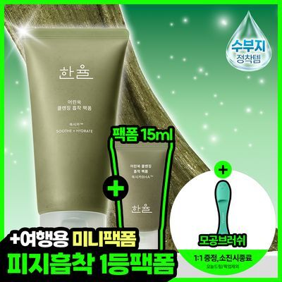 HANYUL Sebum-Absorbing Mugwort Rice Cake Pack Foam Cleanser 120ml