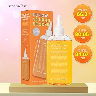 스팀베이스 터메릭 스칼프 워터 스케일러 250ml