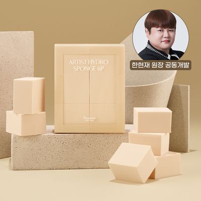 [한현재 공동개발]피카소 아티스트 하이드로 스펀지 6p