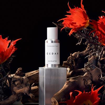 탄젠트GC 오 드 퍼퓸 50ml 시더