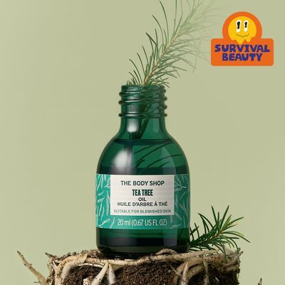 더바디샵 티트리 오일 20ML