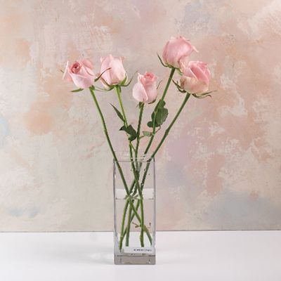 스노우폭스 나를 위한 꽃 핑크톤 장미 (색상혼합)