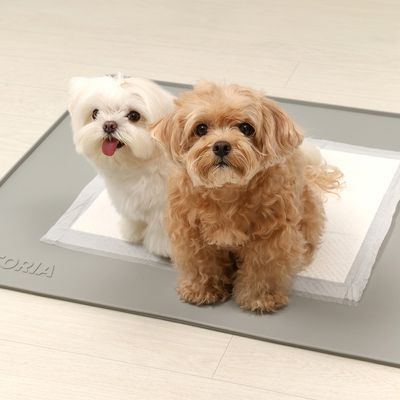 펫토리아 안밀려 논슬립 강아지 실리콘 배변매트 대형 2종
