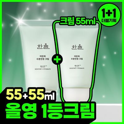 Hanryul Trouble Soothing Mugwort Cica Moisture Cream 55ml × 2