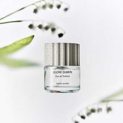 테일러센츠 오브제 퍼퓸 EDT 30ml 슬로우던