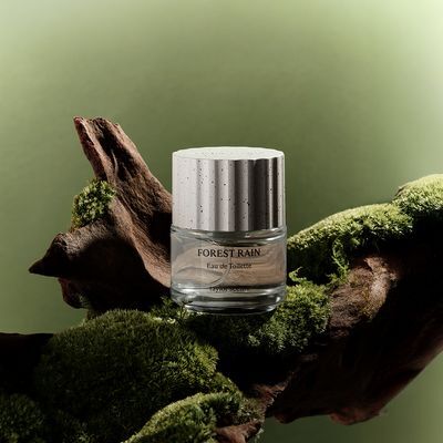 테일러센츠 오브제 퍼퓸 EDT 30ml 포레스트레인