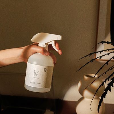 온다숲 맑고맑은 섬유탈취제 500ml