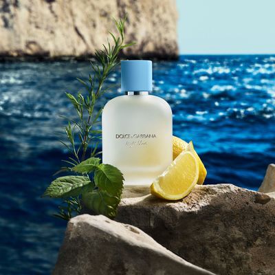 [NEW/리뉴얼] 돌체앤가바나 라이트블루 뿌르 옴므 EDT 50ml