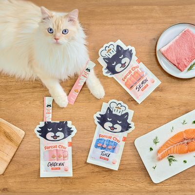 닥터펠리스 포캣츄 참치 56g 4개입 고양이 츄르 스틱 간식 