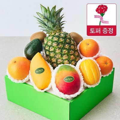 [온브릭스] 프리미엄 과일선물세트8종 연두1호 (파인애플,애플망고)3.7kg이상