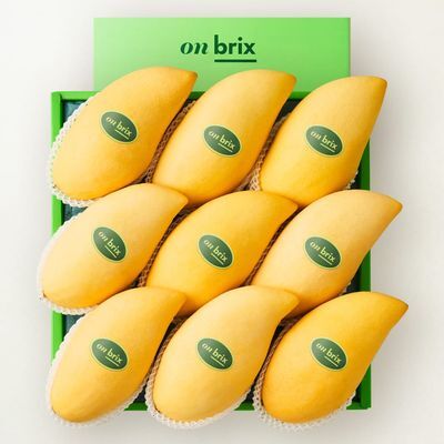 [온브릭스] 항공직송 골드망고 선물세트 3.5kg 이상 (9입/특대과)