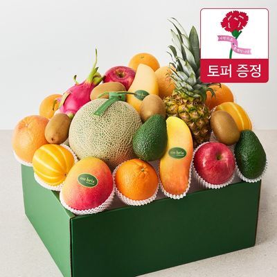 [온브릭스] 프리미엄 과일선물세트12종 로열그린(멜론,애플망고)8.3kg이상