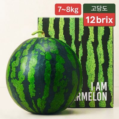 [온브릭스] 천천히 익어 더욱 아삭한, 고당도 고령 수박 (12brix)