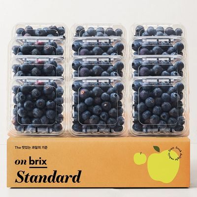 온브릭스 항공직송 칠레산 생 블루베리 500g / 1kg / 1.5kg