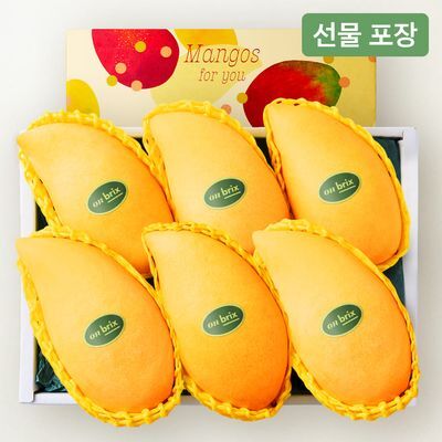 [온브릭스] 항공직송 고당도 골드망고 선물세트 2.1kg이상(5-7입/특품)