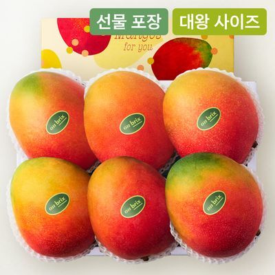 [온브릭스] 항공직송 고당도 대왕 애플망고 선물세트 2.8kg이상(6입/특품)