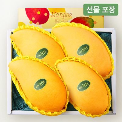[온브릭스] 항공직송 고당도 골드망고 선물세트 1.4kg이상(4입/특품)