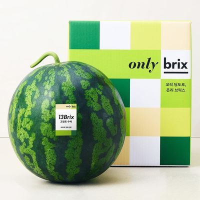 온브릭스 당도보장, 양구 수박 (13Brix/1통)
