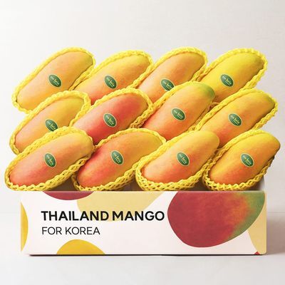 [온브릭스] 프리미엄 마하차녹 무지개망고 1.4kg / 2kg / 4kg (로열과)