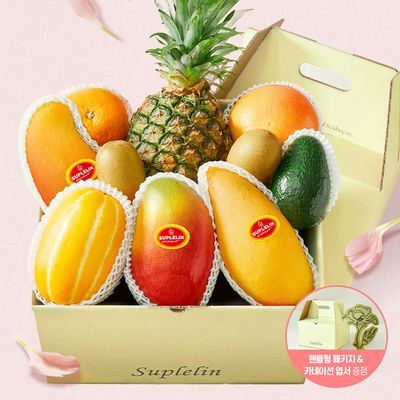 [수플린] 한손에 건네는 과일 오마카세 선물세트 (9종 / 총 3.9kg이상)