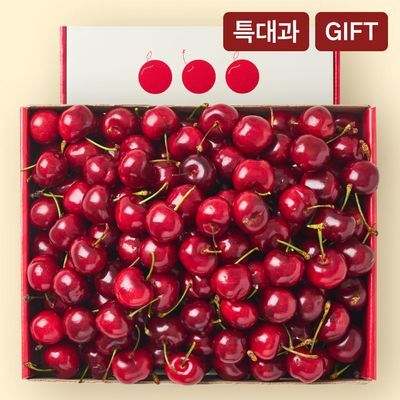 [온브릭스] 항공직송 수입 생체리 선물세트 800g이상(특대과/9.5row)