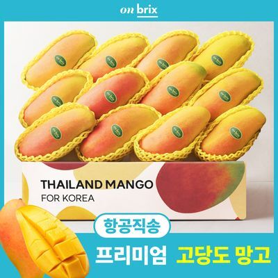 [망고특가] 온브릭스 항송직송 고당도 골드망고 / 무지개망고 (14brix)