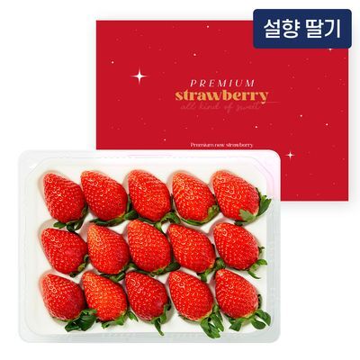 수플린 산지직송 달콤한 설향 딸기 400g 이상 (특품/15~20입)