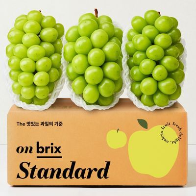 [온브릭스] 연간 50만 송이 이상 판매, 고당도 수출용 샤인머스캣 (17Brix)